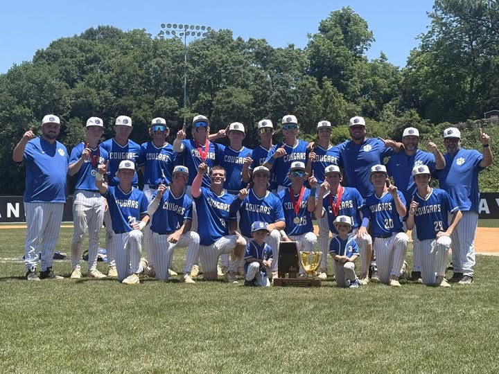 baseball champs