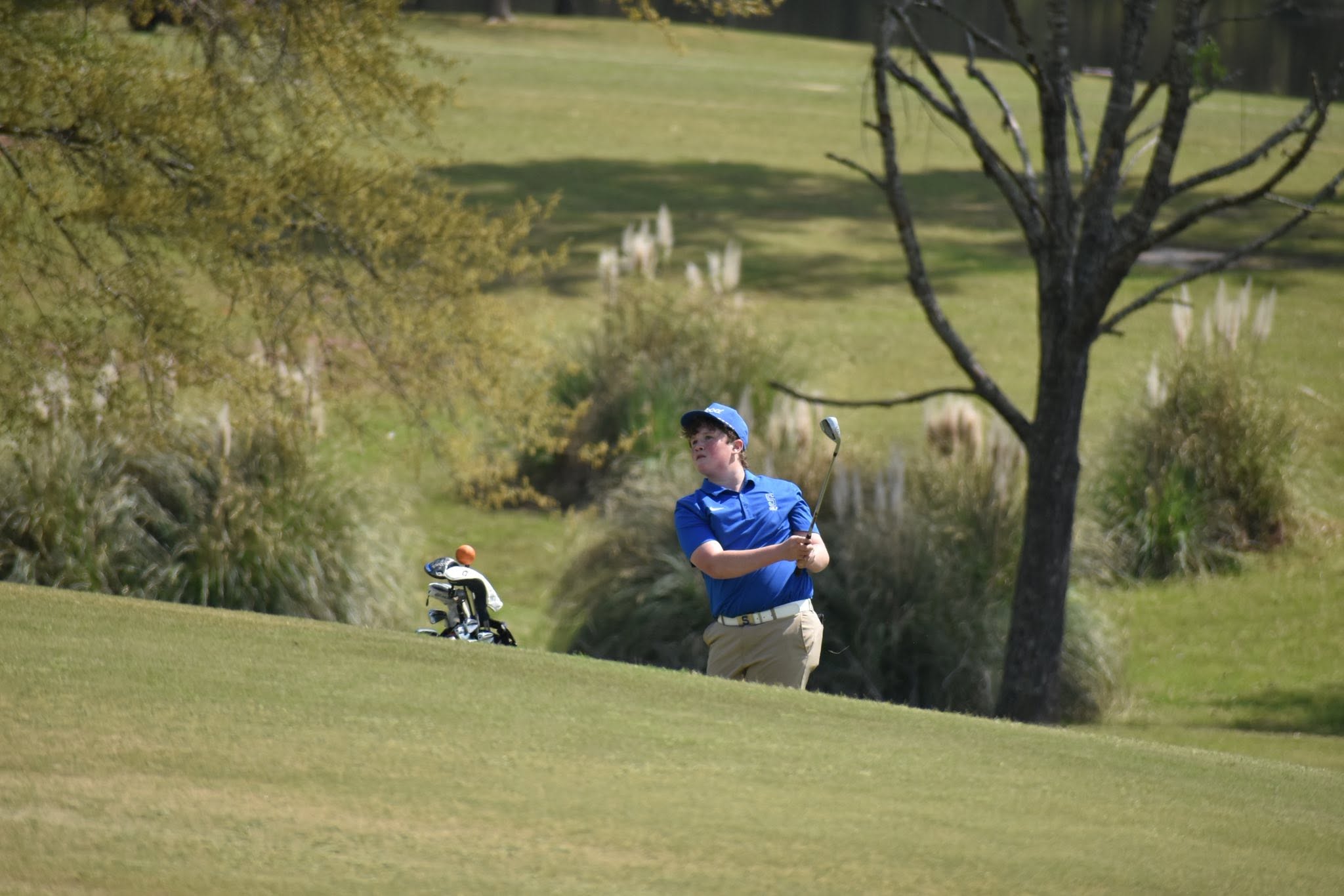 golf sam chip
